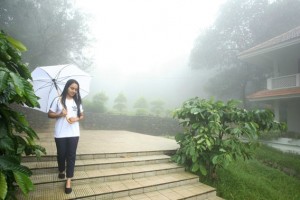 Nature Walk