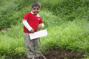 Planting a tree