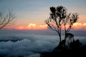 Sunset View Sunset View