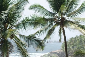 Beach view Beach view