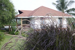Garden Garden