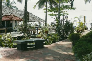 Garden Garden