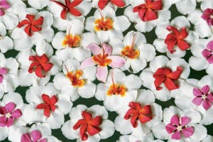 Texture mood Flowers