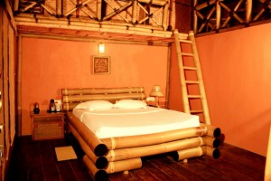Bedroom in the Bamboo Tree House Bedroom in the Bamboo Tree House