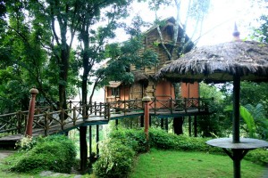 Bamboo Tree House Bamboo Tree House