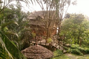 Bamboo Tree House in a serene locale Bamboo Tree House in a serene locale