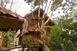 Bamboo Tree House set amidst Nature Bamboo Tree House set amidst Nature