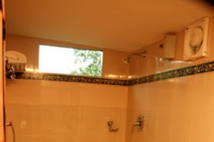 Bathroom In the Bamboo Tree House Bathroom In the Bamboo Tree House