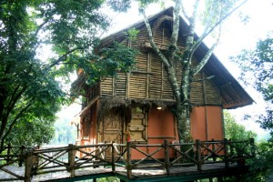 Front View of Bamboo Tree House Front View of Bamboo Tree House