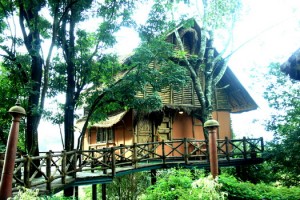 Main View of Bamboo Tree House Main View of Bamboo Tree House