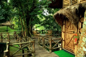 Sit out at Bamboo Tree House Sit out at Bamboo Tree House