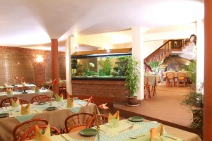 Restaurant Restaurant