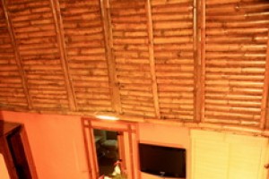 Top view in the Bamboo Tree House Top view in the Bamboo Tree House
