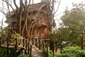 Way to Bamboo Tree House Way to Bamboo Tree House