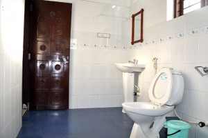 Clean Toilet