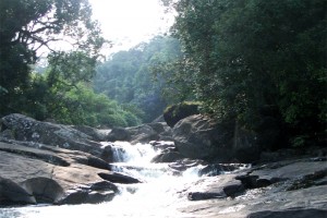 Memorable Beauty view