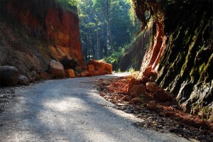 Way of Paradise view