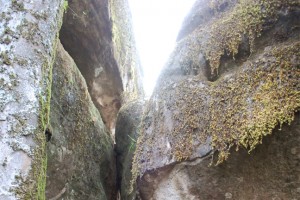 Stone view