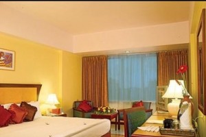 Executive room Executive room