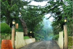 Entrance Entrance