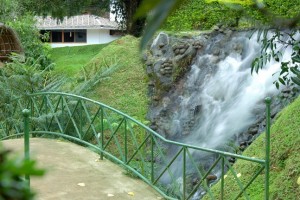 Falls Falls