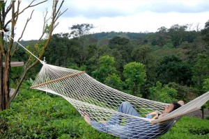 Hammock Hammock
