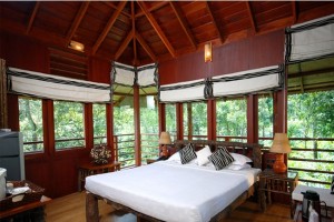 Tree House Interior Tree House Interior