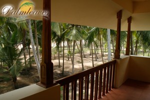 View of Coconut Grove