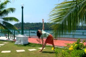 Yoga Yoga