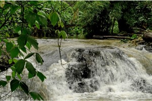 Picturesque Waterfalls Picturesque Waterfalls