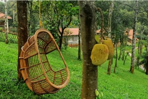 A Swing in the Garden A Swing in the Garden
