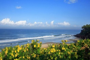 Captivating Beach