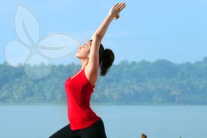 Yoga Yoga