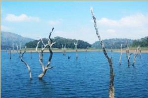 Thekkady Lake View Thekkady Lake View