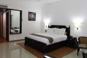 Luxurious room Luxurious room