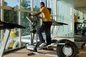 Indoor Exercise in Nature at the Gym Indoor Exercise in Nature at the Gym