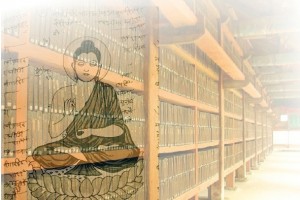 Basics of Ayurveda