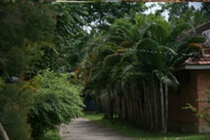 Eco friendly resort