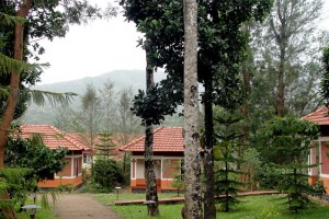 Mountain View from the Rooms