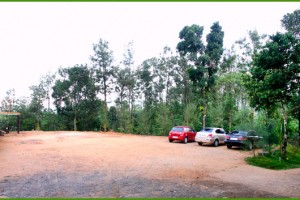 Parking Area beside the Restaurant