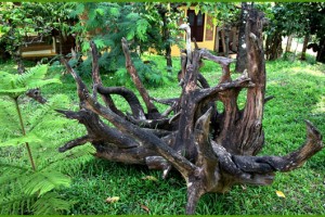 Wood Tree