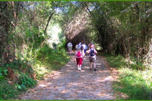 Trekking