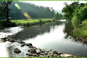 River Kalindi