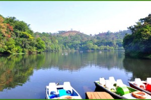 Rowing Boats