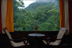 Wayanad Suite