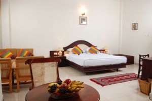 Wayanad Suite Room