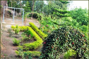Children's Park