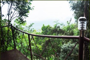 Tree House View from Passage