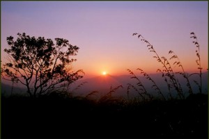 Sunrise View from the Resort