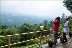 View from Deluxe Cottage